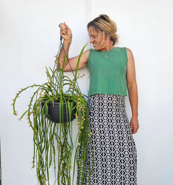 emma hanging plants