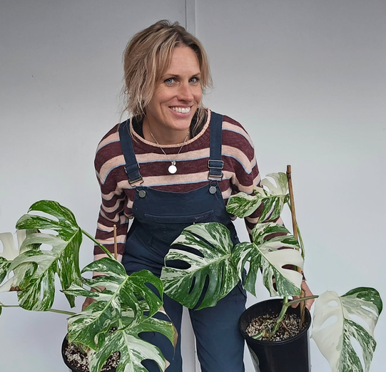 emma overalls variegation